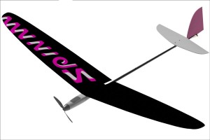 Electric store rc glider